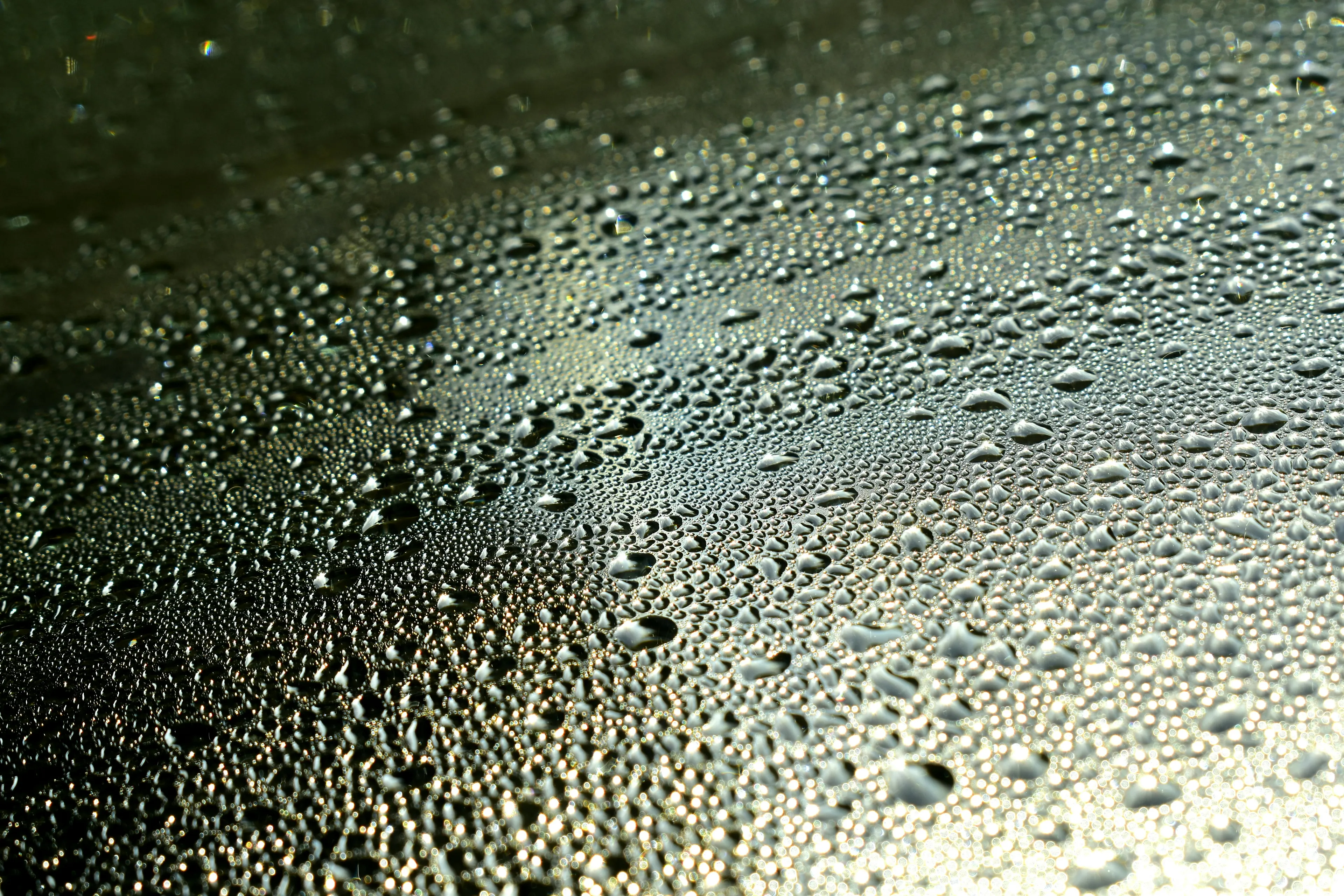 Close-up of water droplets on a dark surface illustrating the science process of a gas becoming a liquid called condensation.