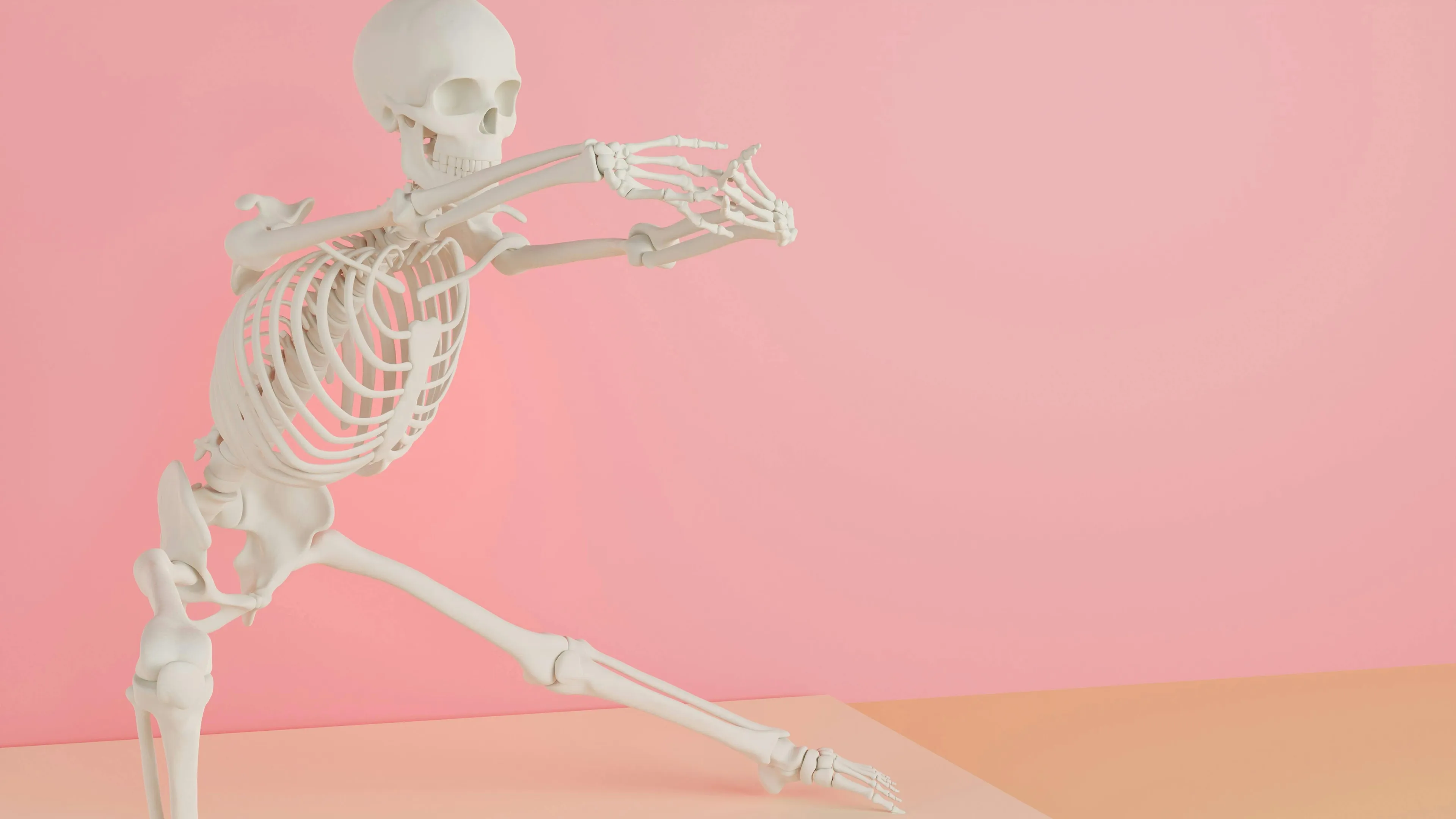 Human skeleton model stretching leg bone, femur, largest bone in the human body, against pink and orange background.