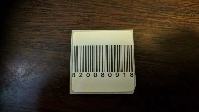 33 Times People Observed Strange Displays Of Intelligence That Totally Caught Them Off Guard
