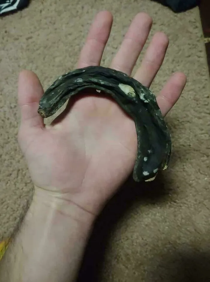 49 Odd Things Elevator Maintenance Workers Found In Shafts That Left Them Speechless