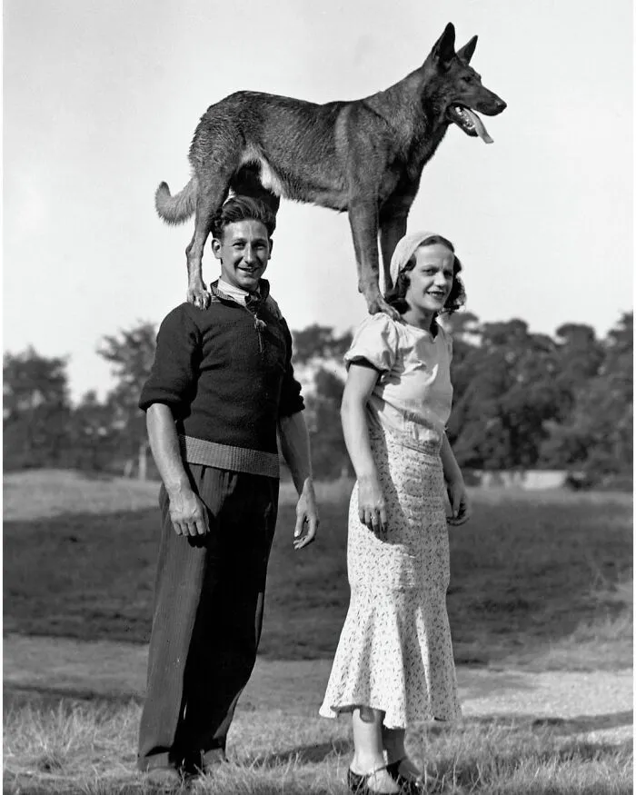 45 Historical Moments That Show The Unchanging Bond Between Dogs And Humans Shared By This Community