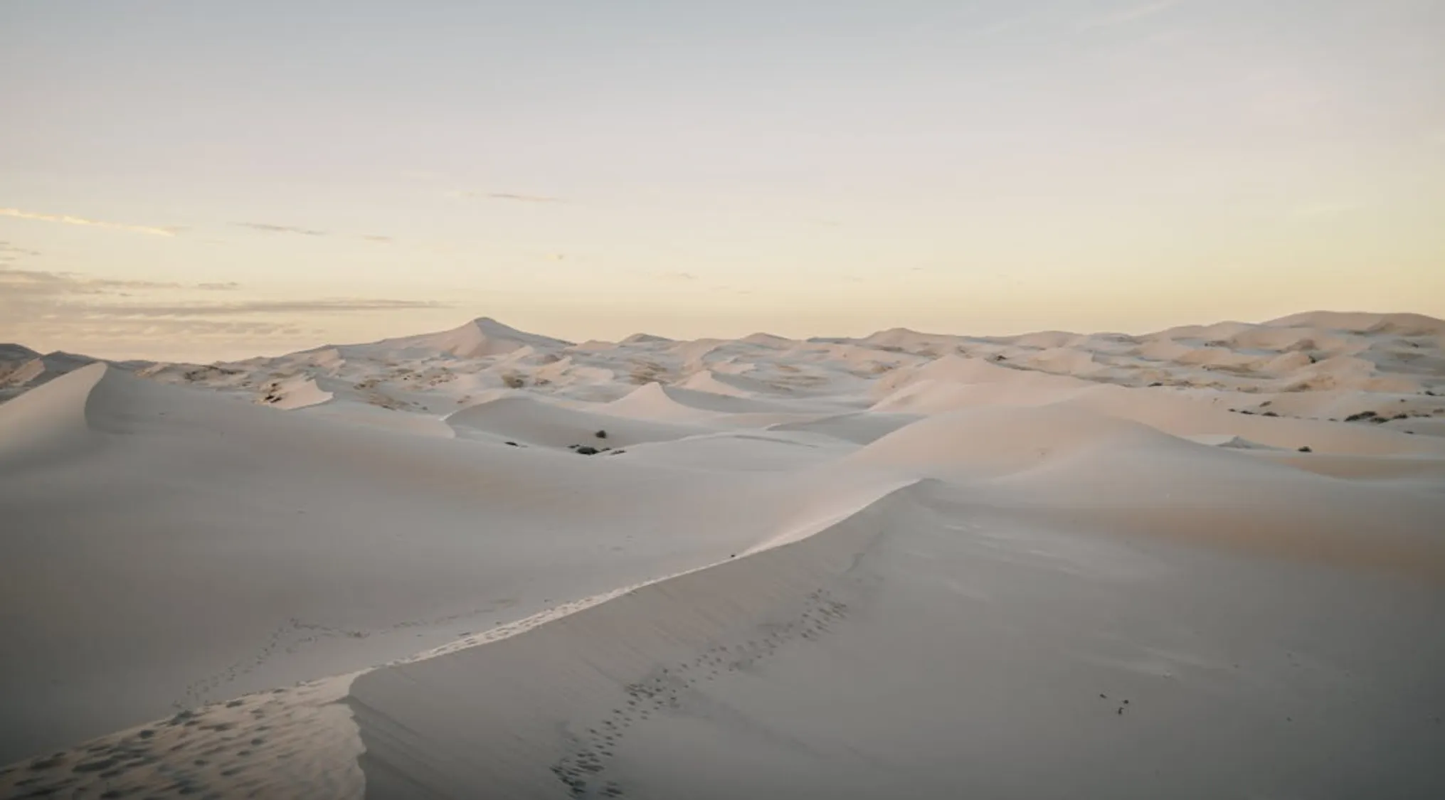 Vast sand dunes under a soft sky in a serene natural landscape.