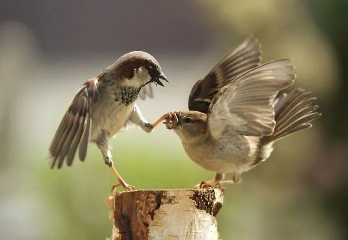 This Page Shares The Most Fascinating Photos, And Here Are The 33 Newest Ones