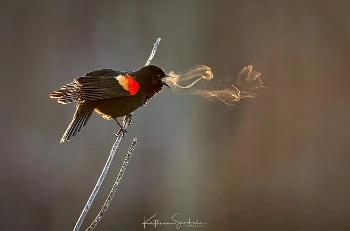 This Page Shares The Most Fascinating Photos, And Here Are The 33 Newest Ones