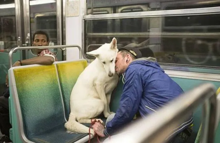 This Page Shares The Most Fascinating Photos, And Here Are The 33 Newest Ones