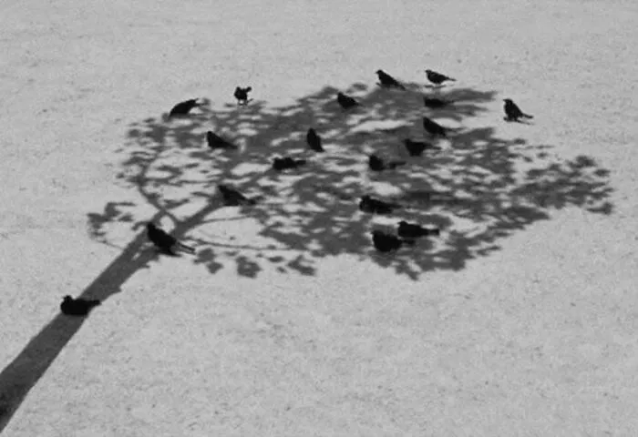 This Page Shares The Most Fascinating Photos, And Here Are The 33 Newest Ones