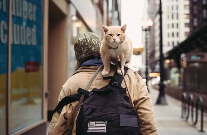 This Page Shares The Most Fascinating Photos, And Here Are The 33 Newest Ones