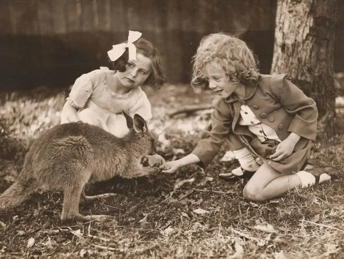 Kangaroo & Girls, CA. 1925-CA. 1945