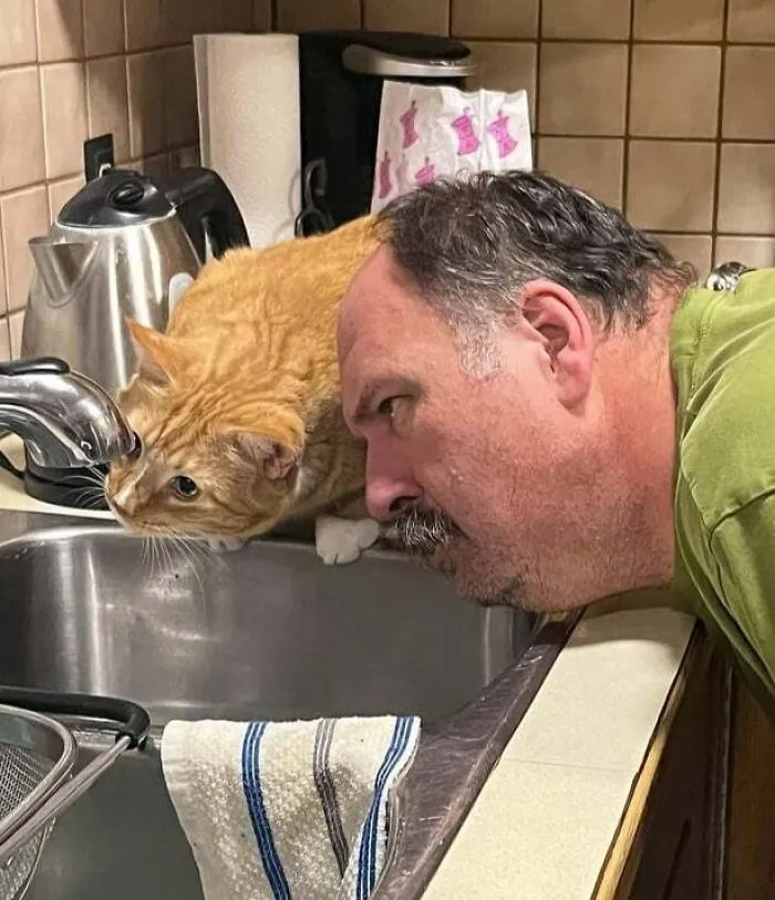 Mi cuñado ayudando a su amigo Dobby a buscar su neurona