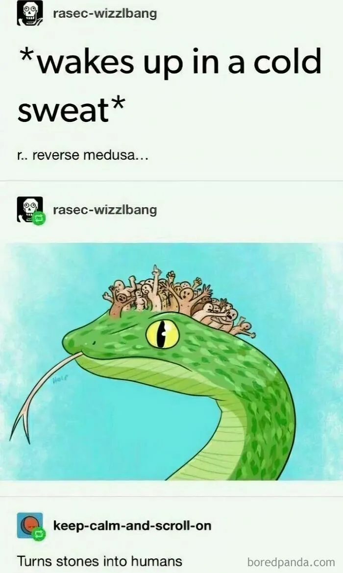 🐍