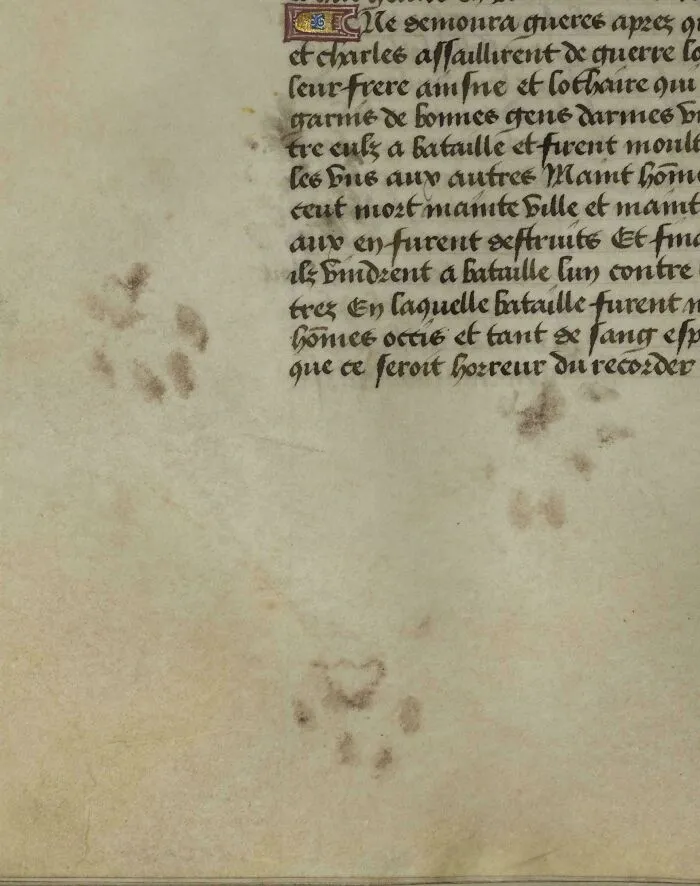 Cat paw prints preserved on a page of an ancient manuscript, one of many fascinating historical finds