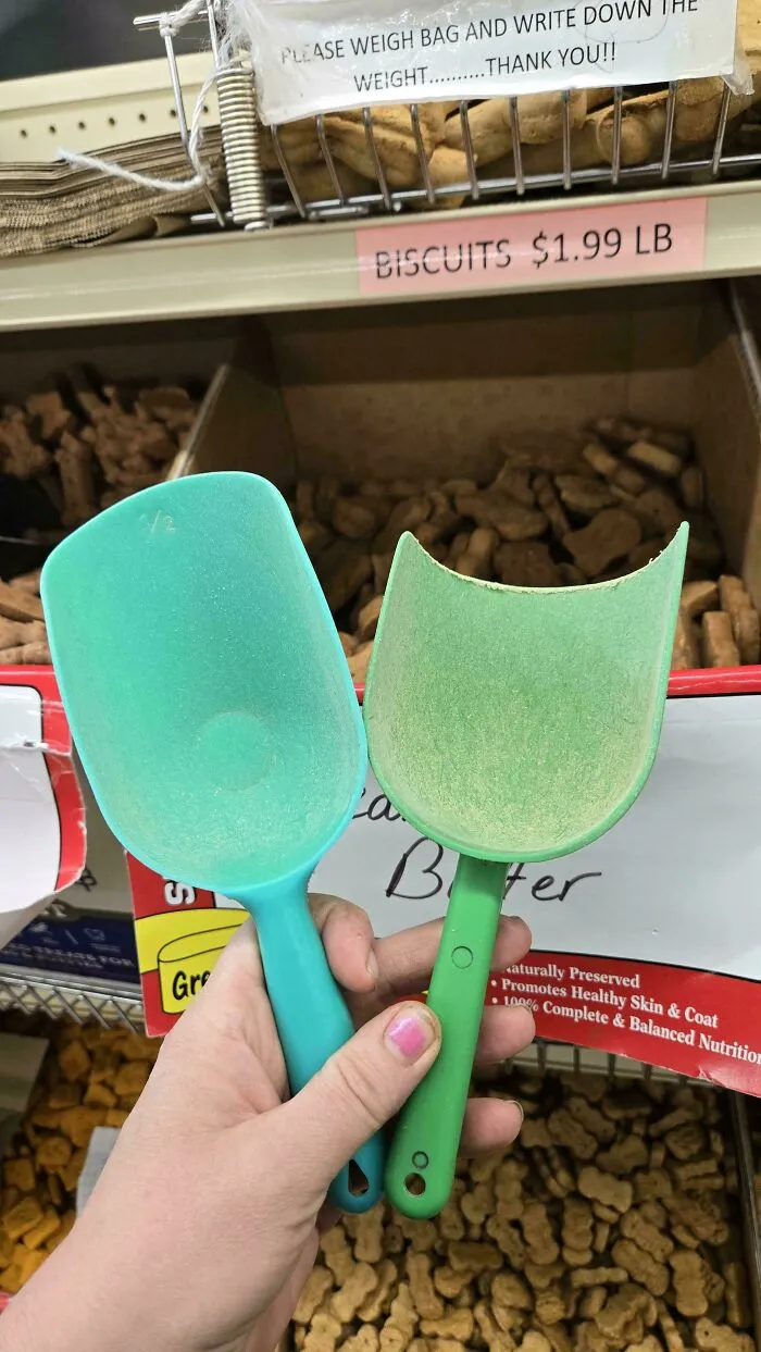 Many Dog Treats Scooped