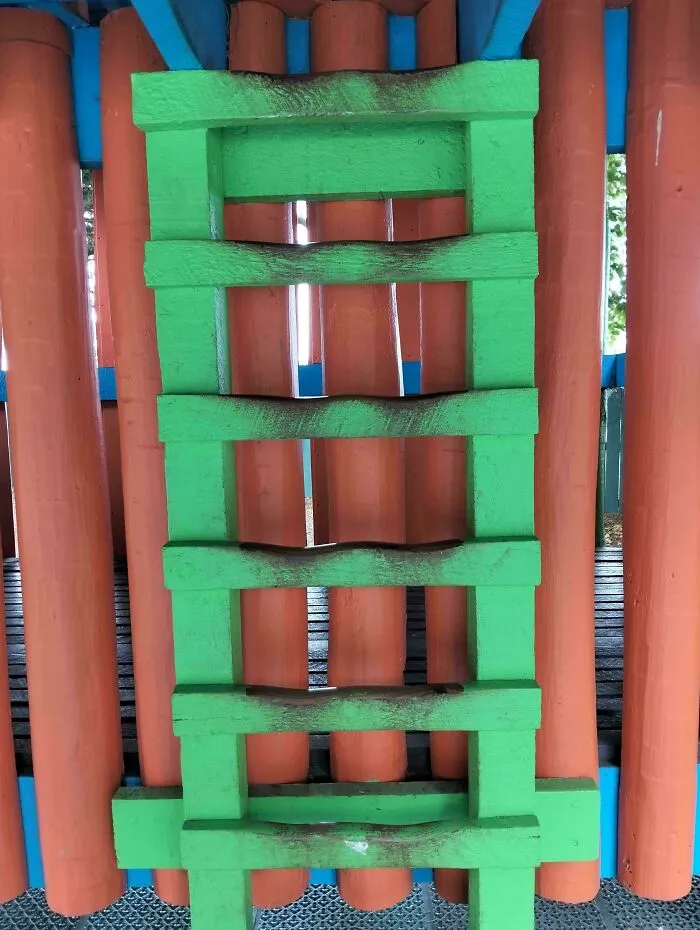 This Playground Ladder