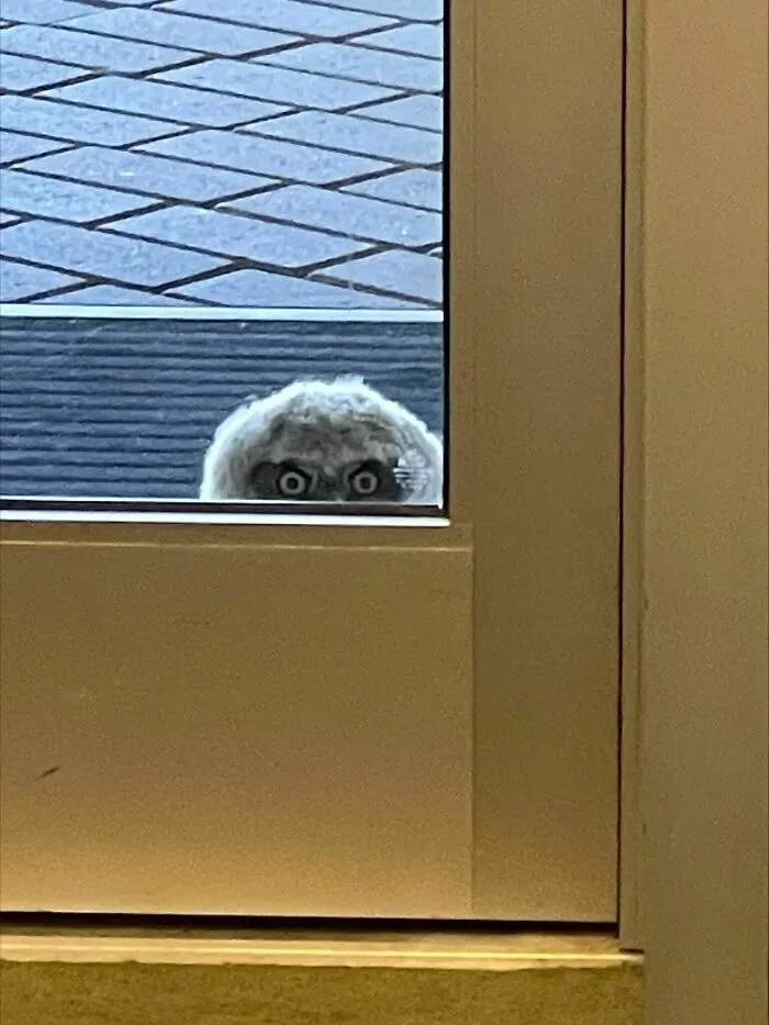 A College Near Me Had A Visitor, Trident Technical College