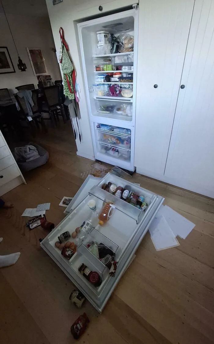 When Your Fridge Gives Up The Ghost
