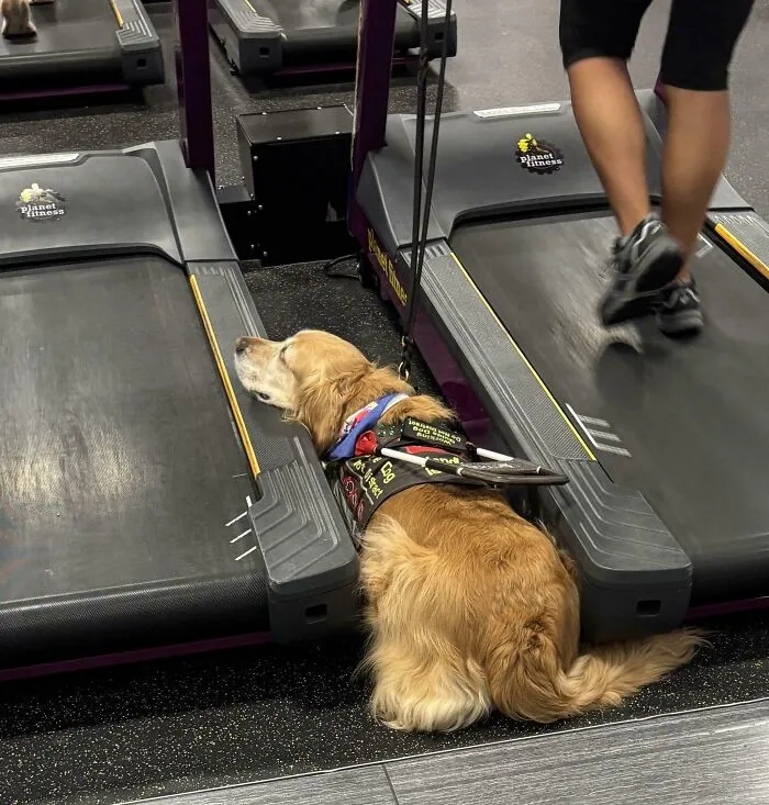 Sitting On A Machine And Not Using It. This Good Boy Made My Morning