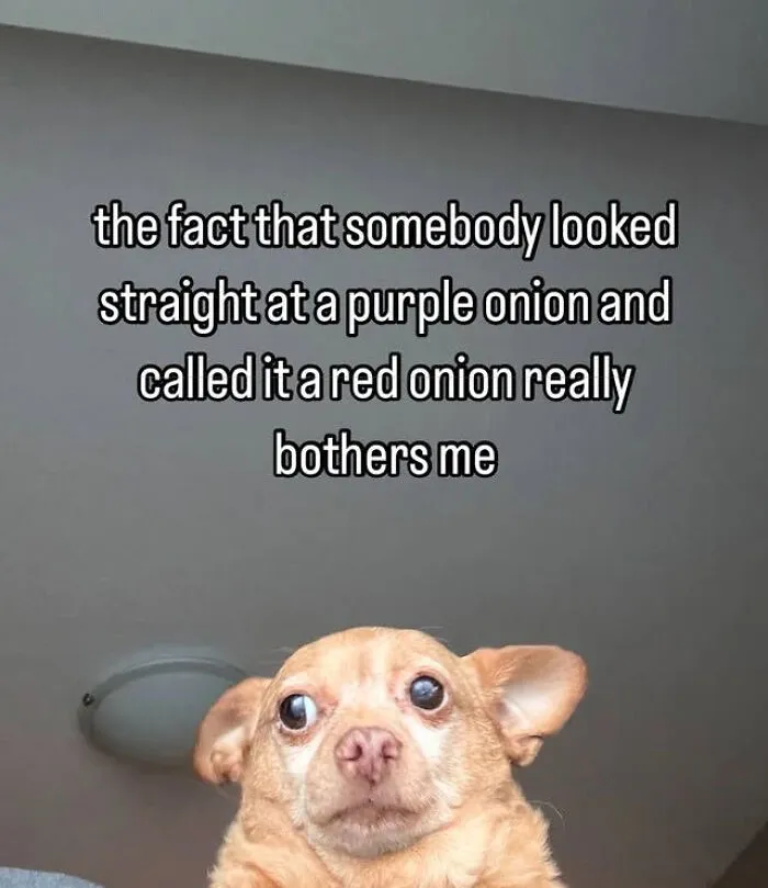 Nobody Gets You Better Than Memes Posted By Random People On The Internet So Here Are 44 Hilarious Ones (New Pics)