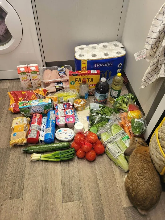 £39 From Lidl (Rabbit Not Included)