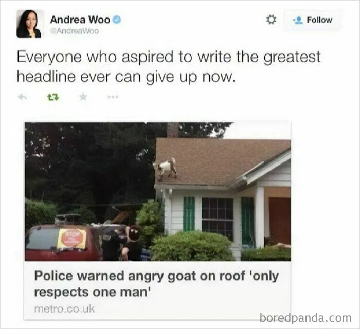 87 Memes So Hilarious And Simple They Might Make Your Day Way Better