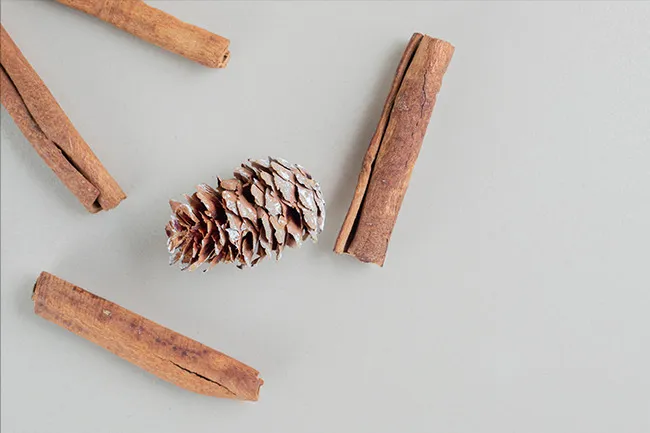 Close-up of cinnamon sticks and a pine cone arranged on a light gray surface evoking cinnamon and pine scents.