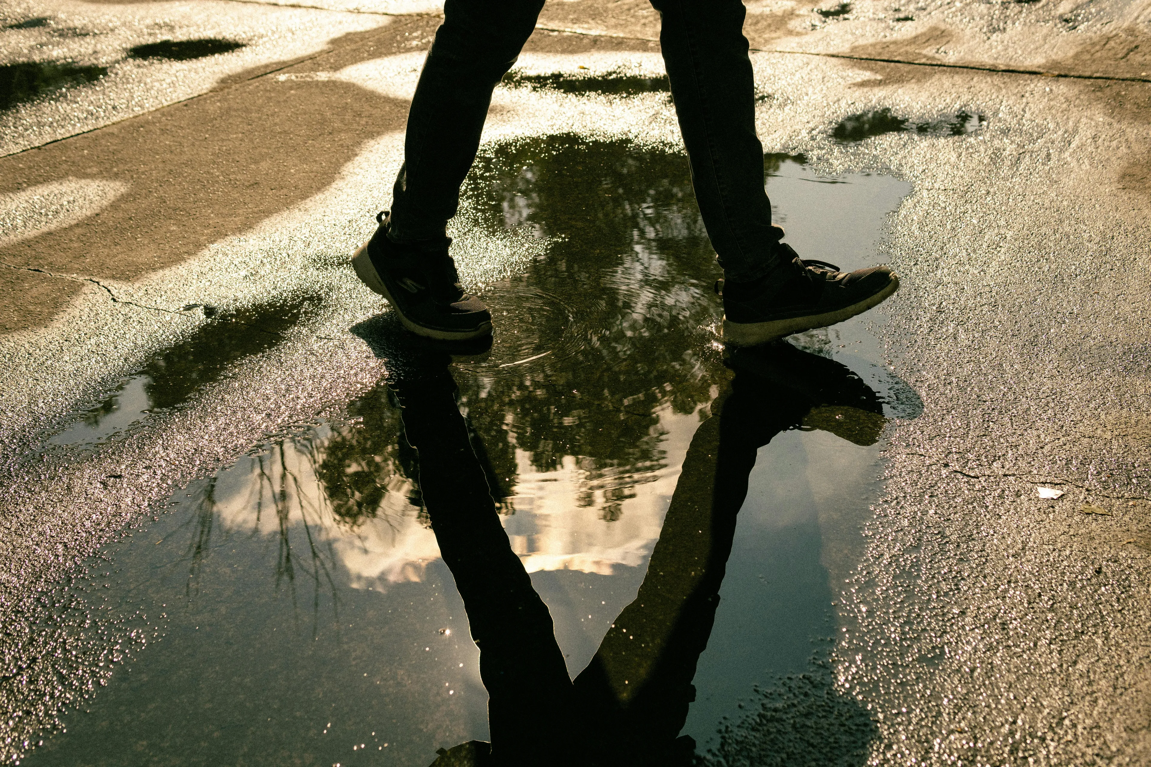Person walking by a puddle on wet pavement reflecting trees and sky, capturing the smell after rain and nostalgia.