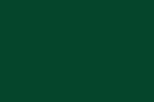 Dark green color example to choose for painting your front door for a bold and elegant entryway look.