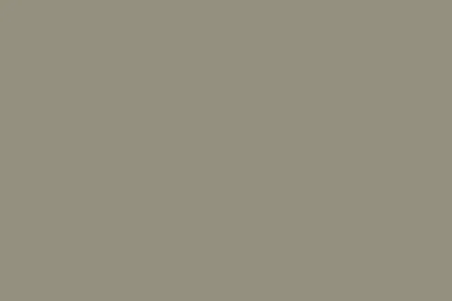 Front door painted in muted olive green color, with modern black handle and simple design on wooden panels.
