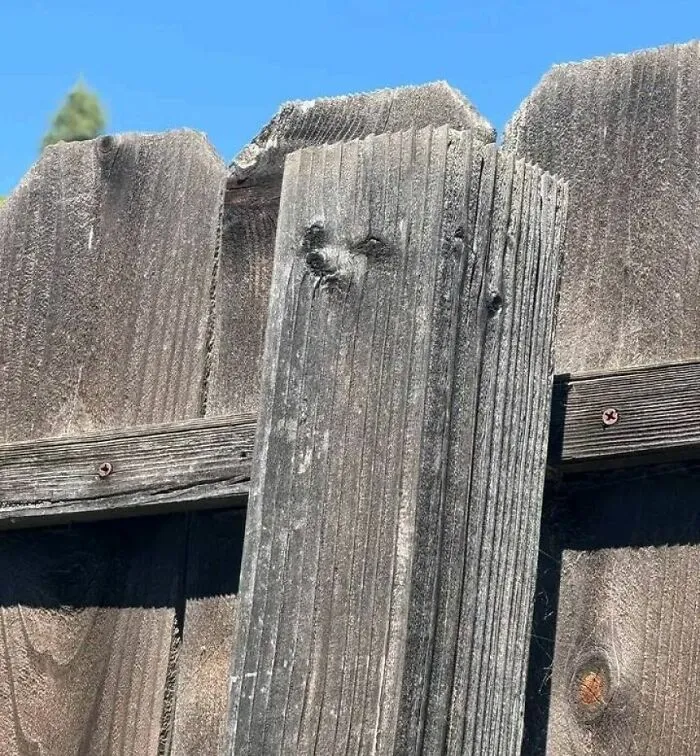 Weathered wooden fence post showing pareidolia with a face-like pattern on the grain under clear blue sky.
