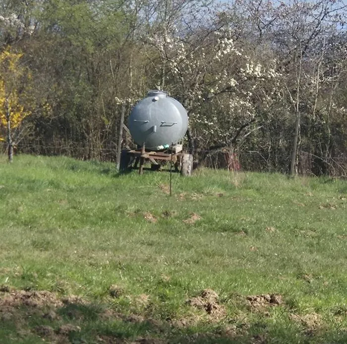 Metal tank in a grassy field resembling a sleepy face, an example of pareidolia captured outdoors near trees.