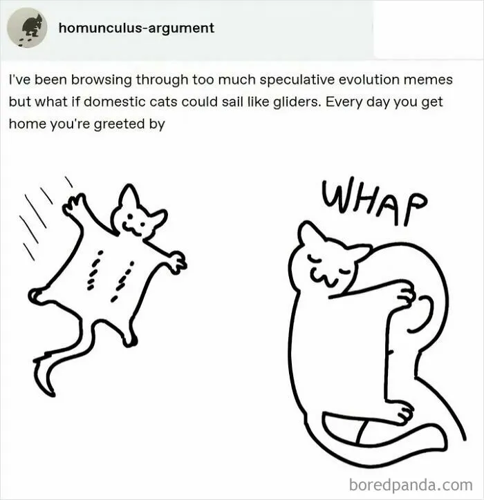 Whap!!! 😂