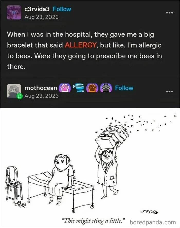 Not The Bees 🐝