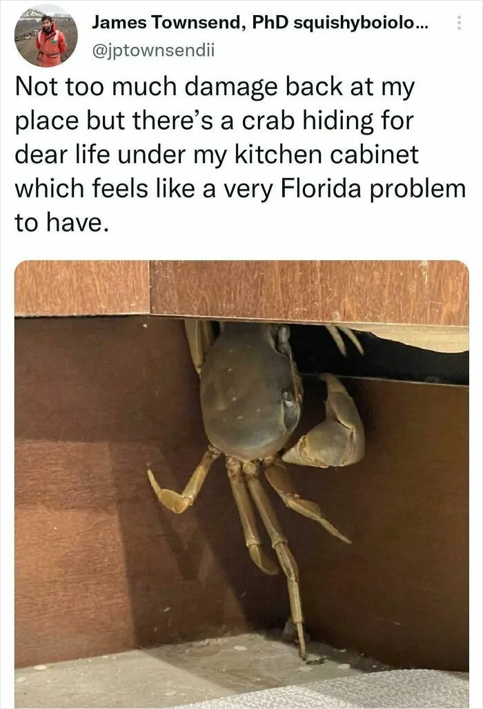 Florida Man Has Crab