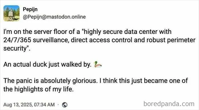 Meanwhileatduckduckgo
