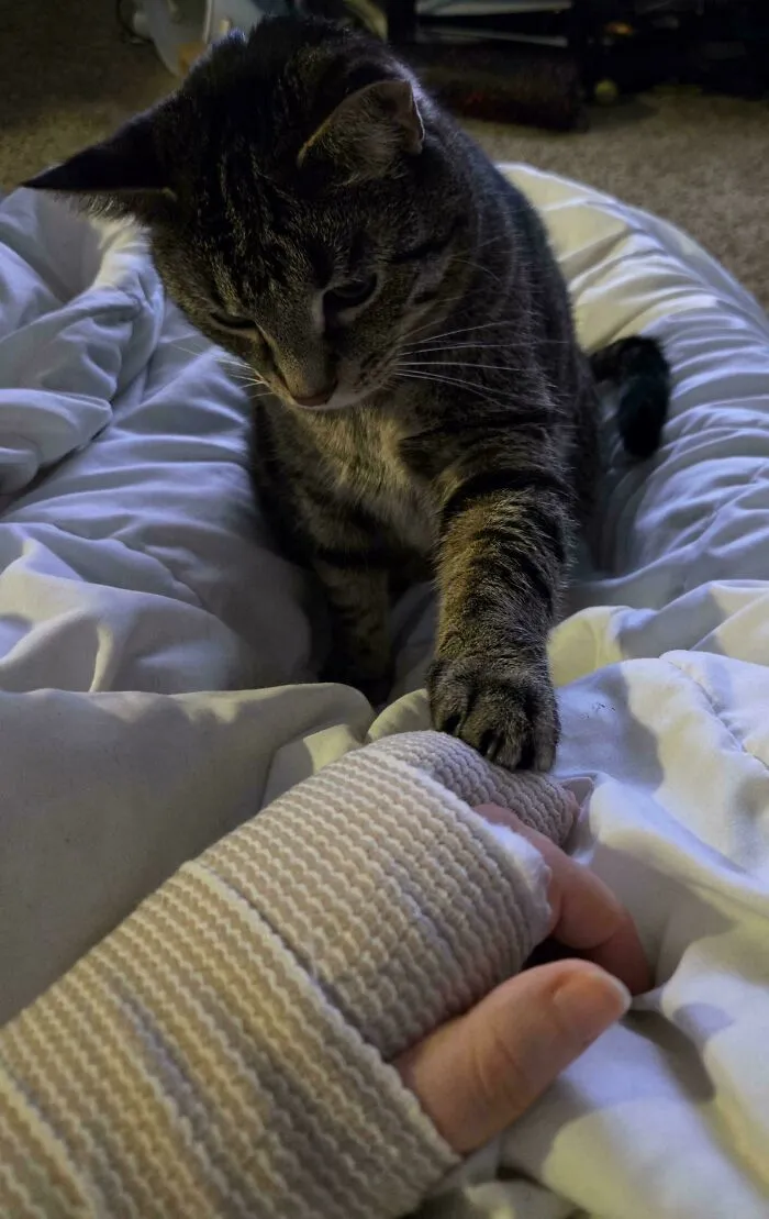 Caretaker