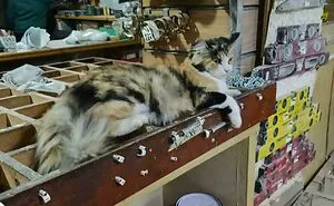 “Cleared A Four-Year Mouse Problem In Three Days”: 83 Funny Cats With Jobs They Take Very Seriously (New Pics)