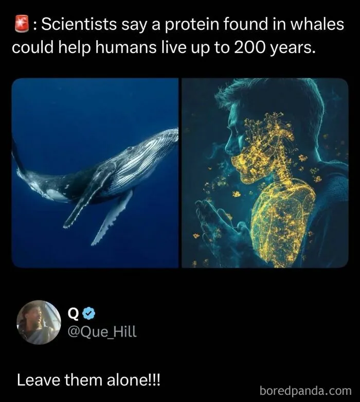 109 Funny Posts To Distract You From A Stressful Workday