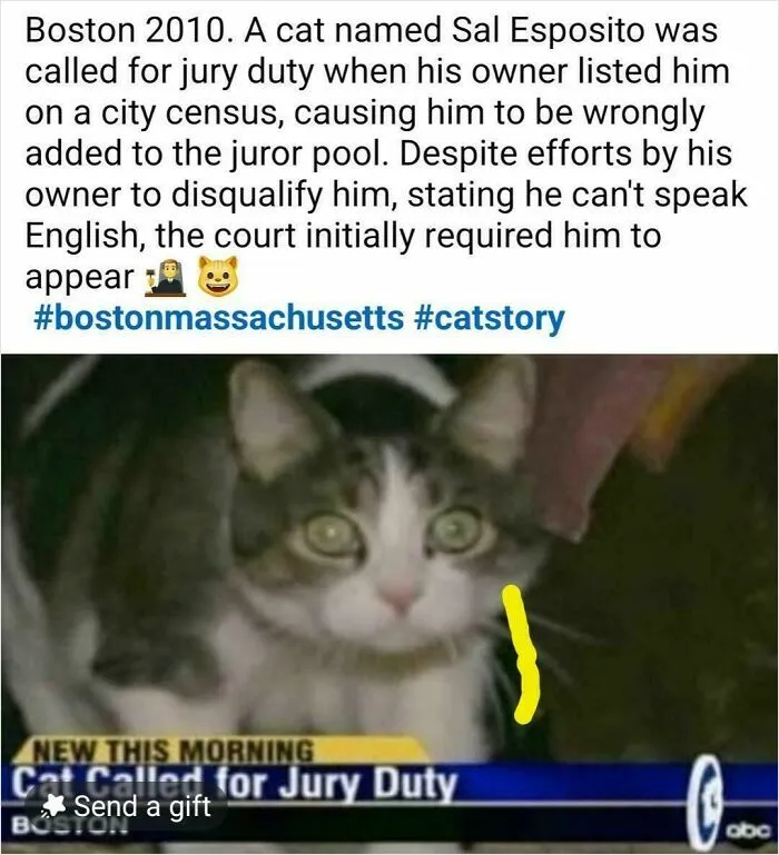 Saw This On Facebook