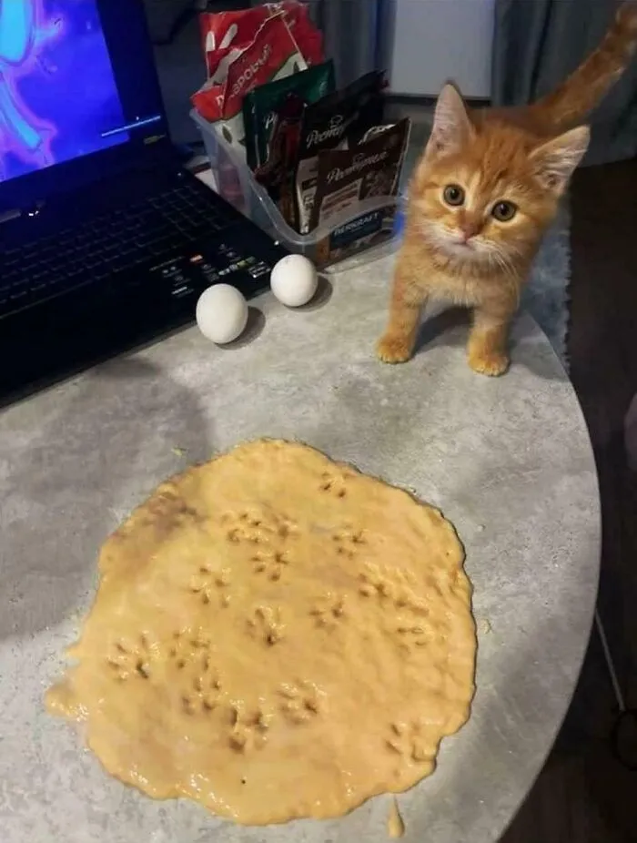 Assistant Chef