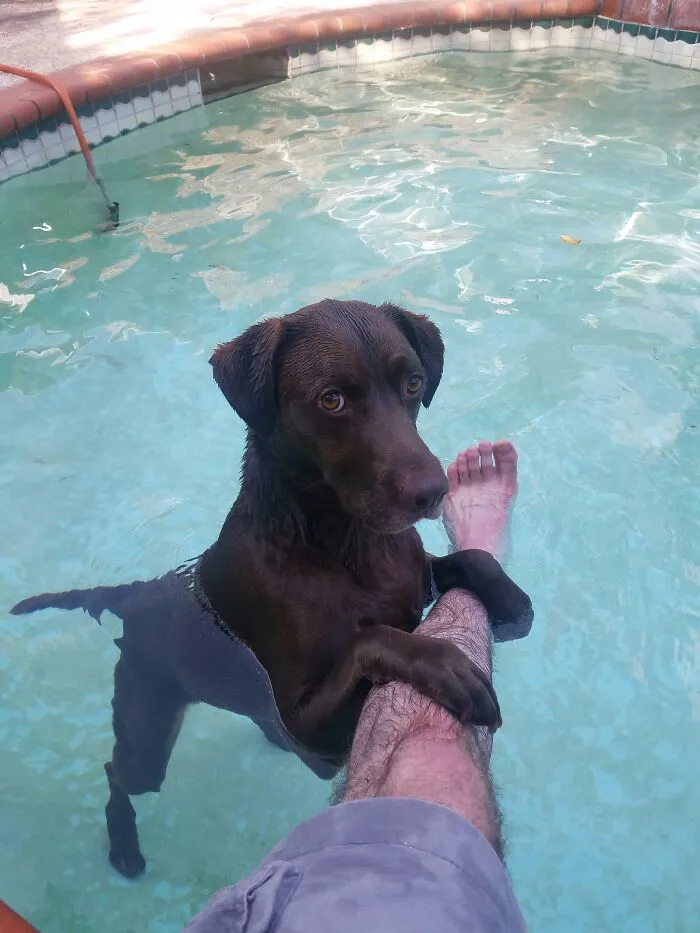 He Gets Tired Of Swimming And Needs Somewhere To Rest Sometimes