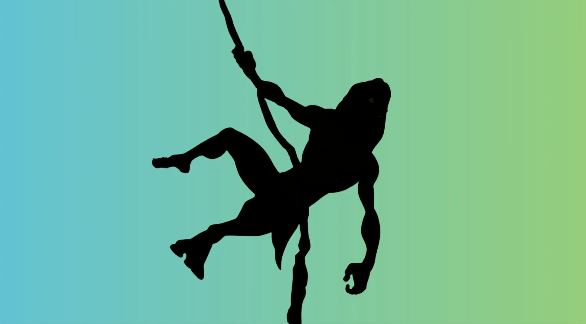 Silhouette of a swinging character holding a rope, part of a character silhouettes quiz on a gradient background