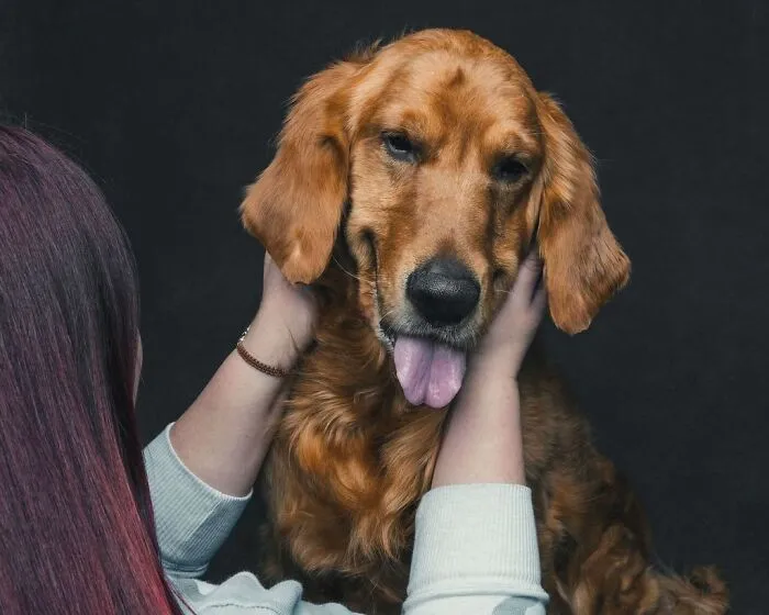 38 Photos From This Series That Prove How Powerful The Bond Between Dogs And Humans Can Be