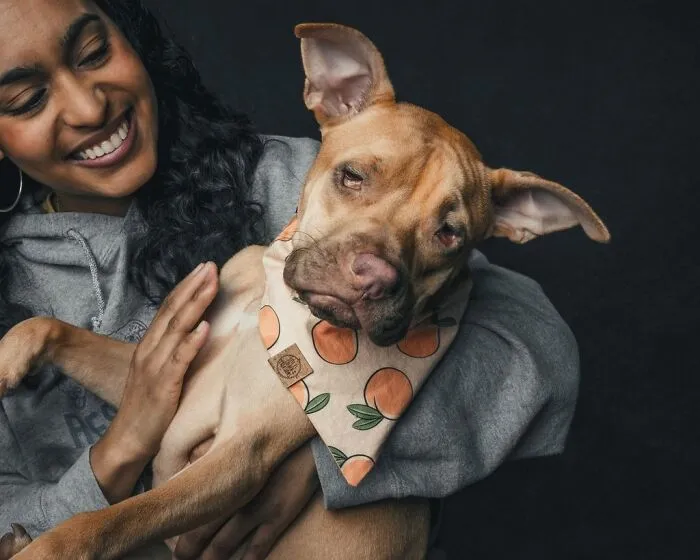 38 Photos From This Series That Prove How Powerful The Bond Between Dogs And Humans Can Be