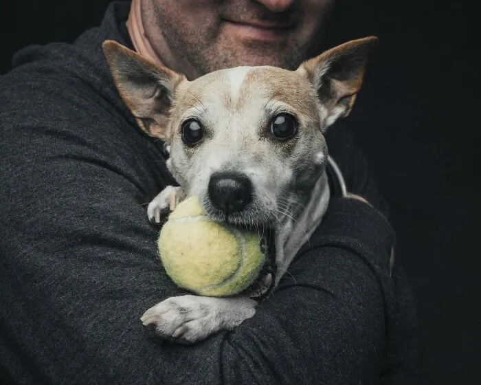 38 Photos From This Series That Prove How Powerful The Bond Between Dogs And Humans Can Be