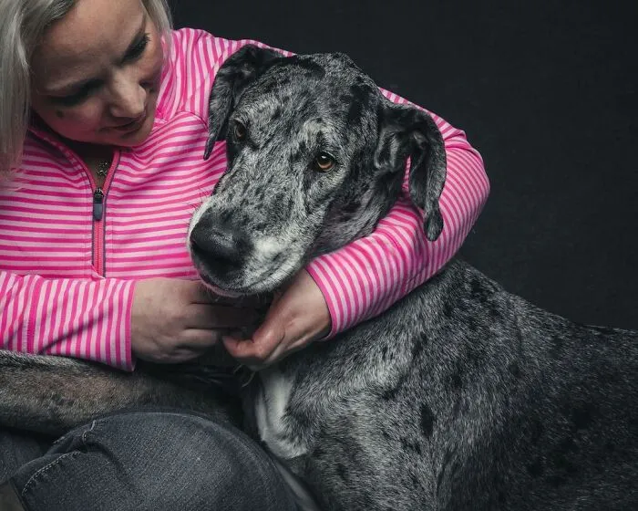 38 Photos From This Series That Prove How Powerful The Bond Between Dogs And Humans Can Be