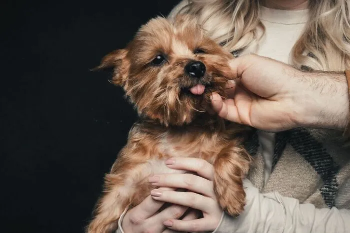 38 Photos From This Series That Prove How Powerful The Bond Between Dogs And Humans Can Be