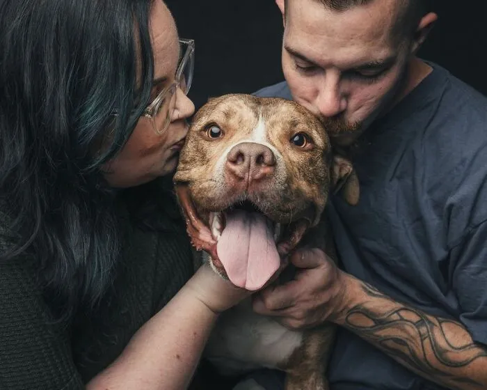38 Photos From This Series That Prove How Powerful The Bond Between Dogs And Humans Can Be