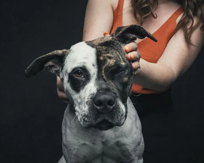 38 Photos From This Series That Prove How Powerful The Bond Between Dogs And Humans Can Be