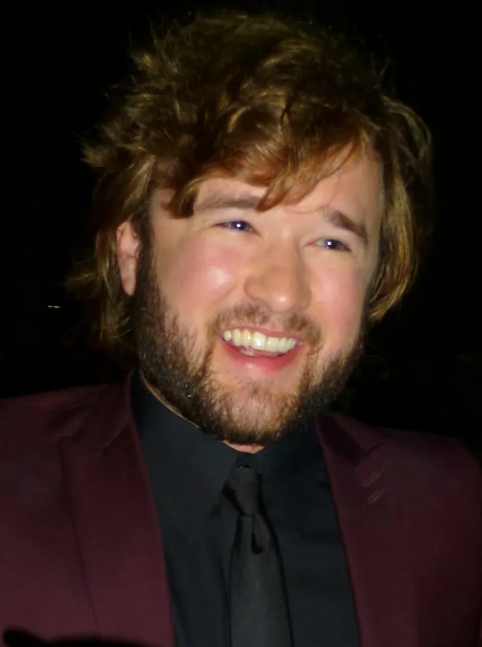 American Actor Haley Joel Osment, 38