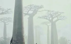 75 Images Of Insanely Huge Things To Awaken Some Hidden Fears In Us With Just Watching Them