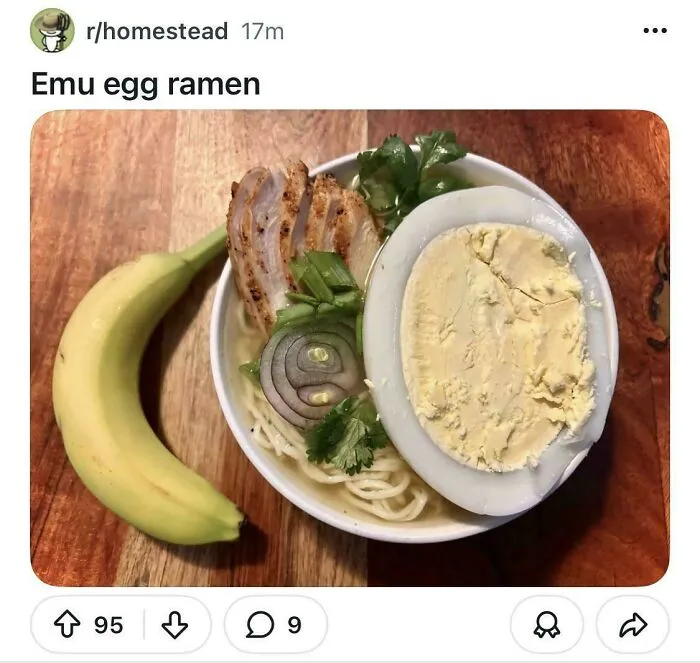 It Just Looks Too Big 🤢